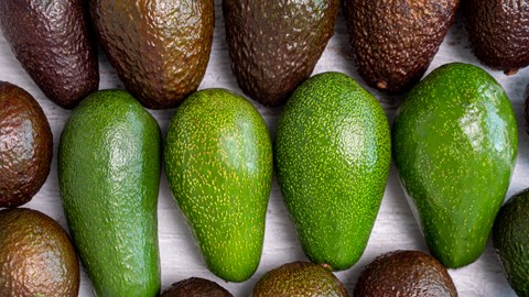 Fruit Services Collective erweitert Kühlkapazitäten mit fortschrittlichen Einschubregalen